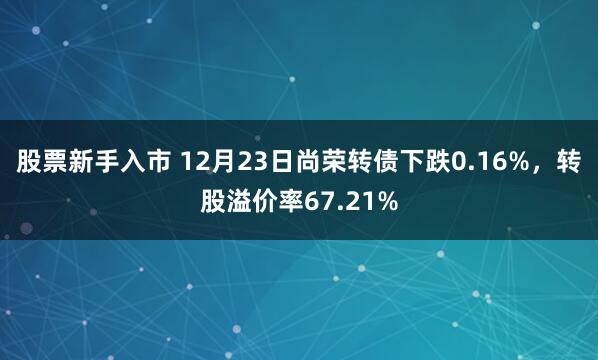 股票新手入市 12月23日尚荣转债下跌0.16%，转股溢价率67.21%