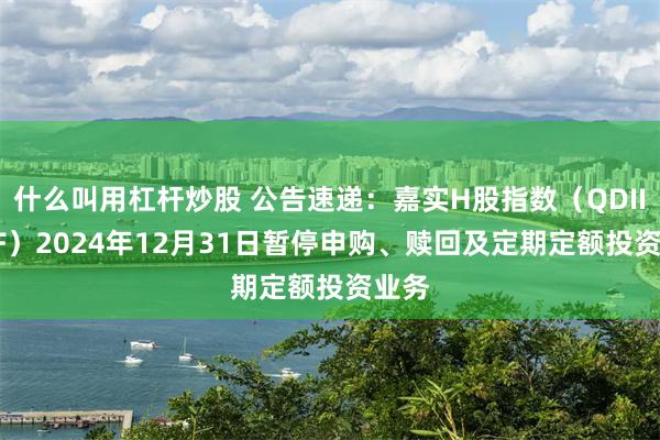 什么叫用杠杆炒股 公告速递：嘉实H股指数（QDII-LOF）2024年12月31日暂停申购、赎回及定期定额投资业务