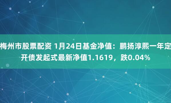 梅州市股票配资 1月24日基金净值：鹏扬淳熙一年定开债发起式最新净值1.1619，跌0.04%