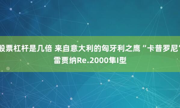 股票杠杆是几倍 来自意大利的匈牙利之鹰“卡普罗尼”雷贾纳Re.2000隼I型