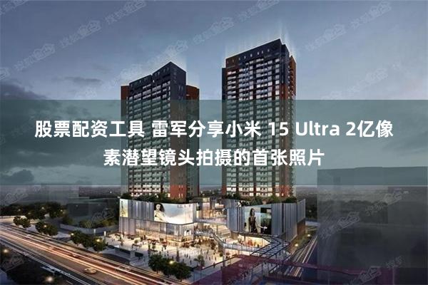 股票配资工具 雷军分享小米 15 Ultra 2亿像素潜望镜头拍摄的首张照片