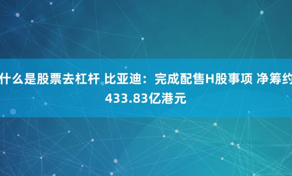 什么是股票去杠杆 比亚迪：完成配售H股事项 净筹约433.83亿港元